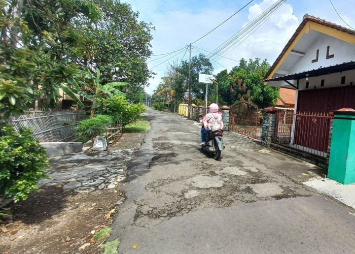 Jalan di Wilayah Cilacap Utara Rusak dan Berlubang