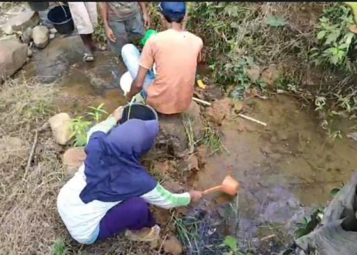 Terdampak Kekeringan Parah, Warga Dusun Cilulu Terpaksa Berjalan 2 Km untuk Dapat Air Bersih