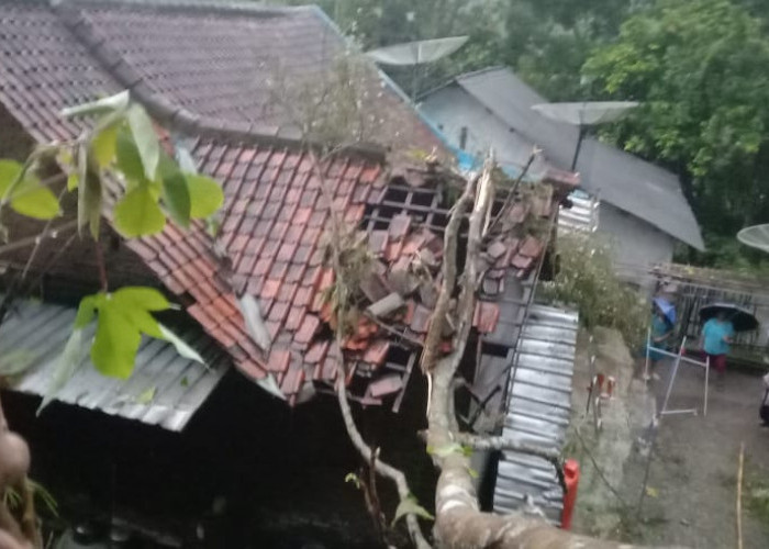Dua Rumah Warga Sadang Rusak Tertimpa Pohon