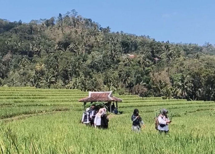 362 Aset Tanah Pemkab Banjarnegara Belum Bersertifikat, BPPKAD Kejar Penyelesaian
