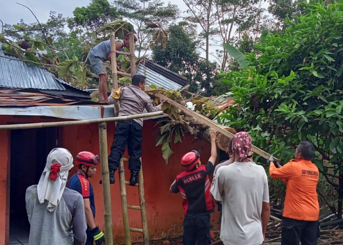 Angin Kencang Terjang Bobotsari, Satu Rumah Rusak Tertimpa Pohon Jati