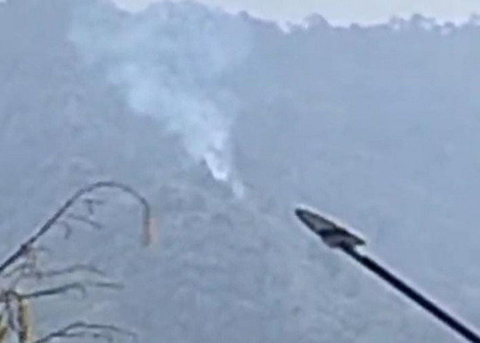 Muncul Kepulan Asap di Gunung Plana Bobotsari, BPBD Cek Dugaan Kebakaran Hutan