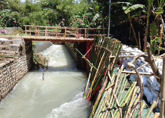 Dapuran Bambu Ancam Tanggul Darurat Bendung Karanggedang