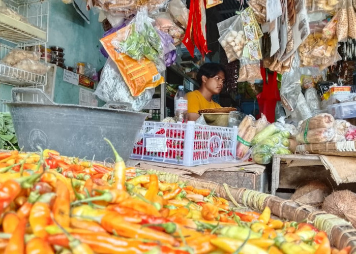 Musim Hujan, Komoditas Cabai Mulai Naik Harga