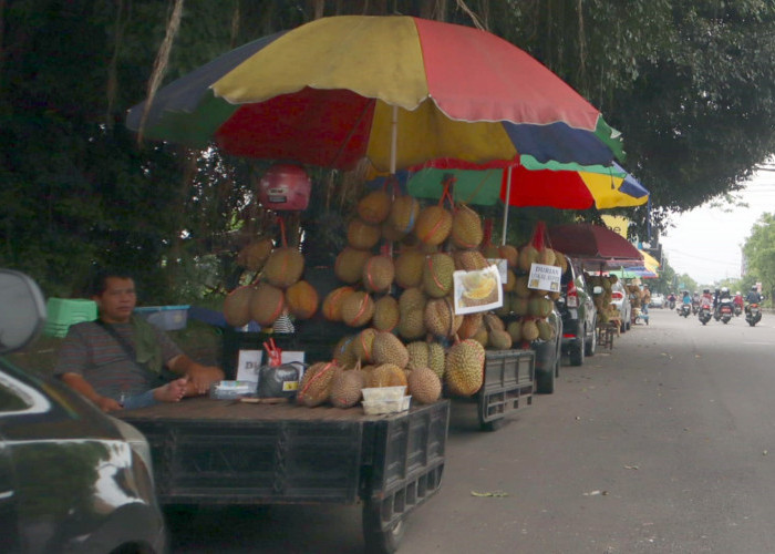 Musim Durian, Dinpertan KP Sebut Panen Tahun Ini Ada Peningkatan
