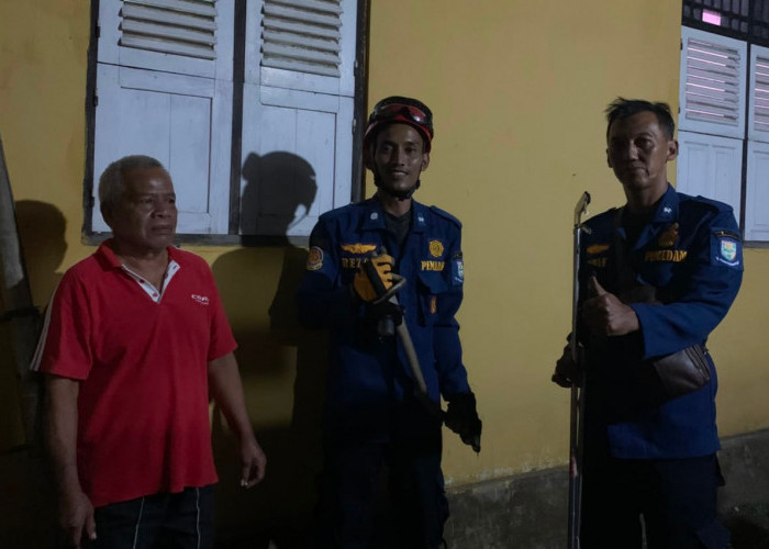 Meresahkan Warga, Petugas Damkar Purbalingga Evakuasi Ular Kobra di Desa Sidakangen
