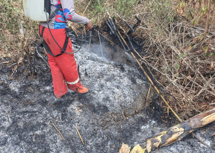 Lahan Desa Panusupan Banyumas Diduga Sengaja Dibakar, Akses Sempit Hambat Petugas Menjangkau Titik Api