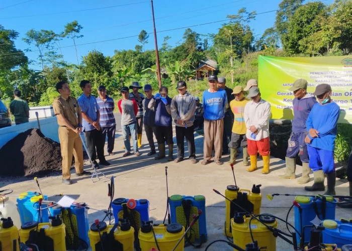 Cegah Serangan Ulat Grayak Meluas, DPPP Purbalingga Semprot 5 Hektare Lahan Tembakau di Serang