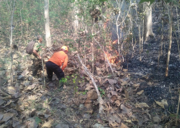 7 Hektare Lahan Milik Perhutani dan Warga di Kebasen Banyumas Terbakar