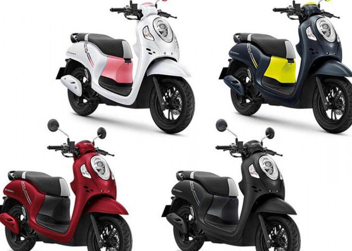 10 Panduan Membeli Motor Bekas Honda Scoopy Bekas Agar Tidak Kecewa  