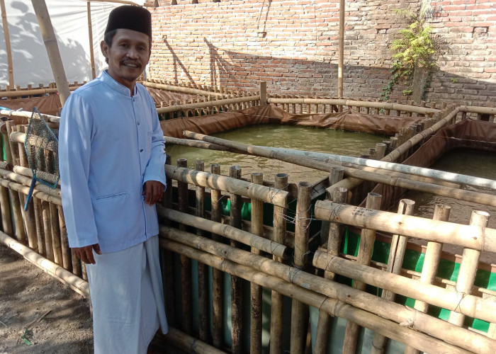 Pemanfaatan Limbah MBG di Kecamatan Alian Kebumen Dorong Usaha Budidaya Lele