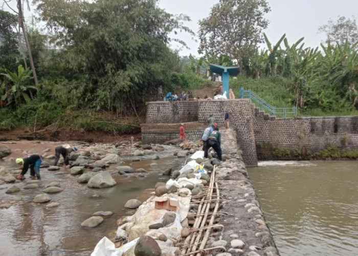 Saluran Irigasi di Sungai Cibaganjing Wanareja Cilacap Diperbaiki