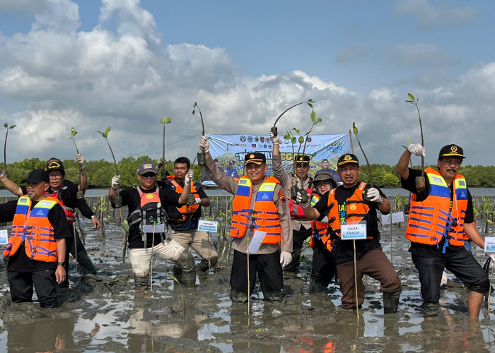Cilacap Perkuat Benteng Alam Pesisir, Ribuan Mangrove Ditanam Lawan Tsunami