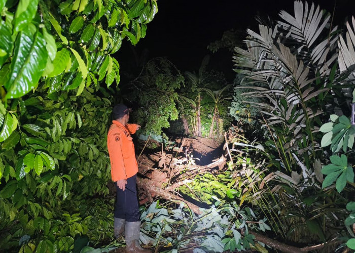 Longsor Terjang Tiga Desa di Punggelan Tutup Jalan, 32 Warga Mengungsi