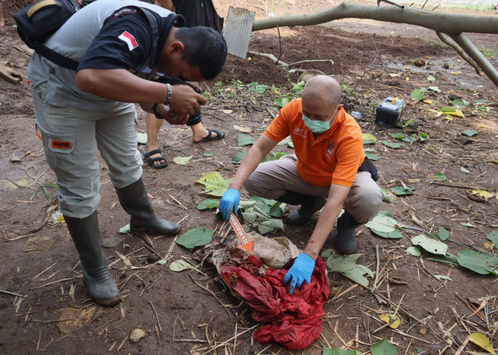 Kembali Ditemukan Satu Tulang Bayi di Tanjung, Total Enam Kerangka Bayi Sudah Diamankan Polisi
