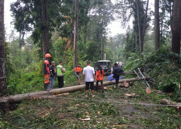 Hujan Angin Terjang Baturraden Banyumas, Akses Wisata Terhenti Sementara