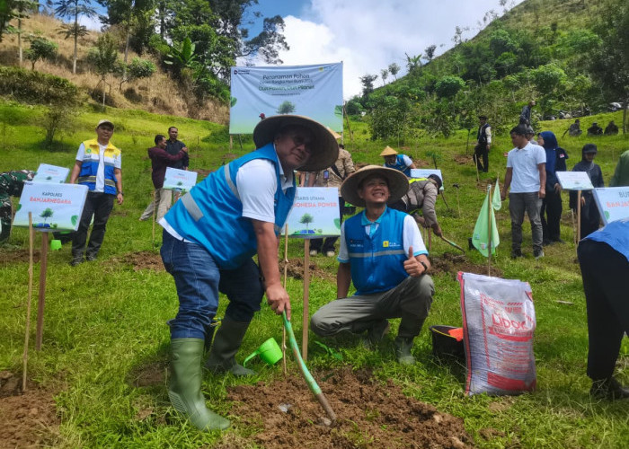 Waduk Mrica Terancam Sedimentasi, 20 Ribu Pohon Kopi Ditanam di Pejawaran