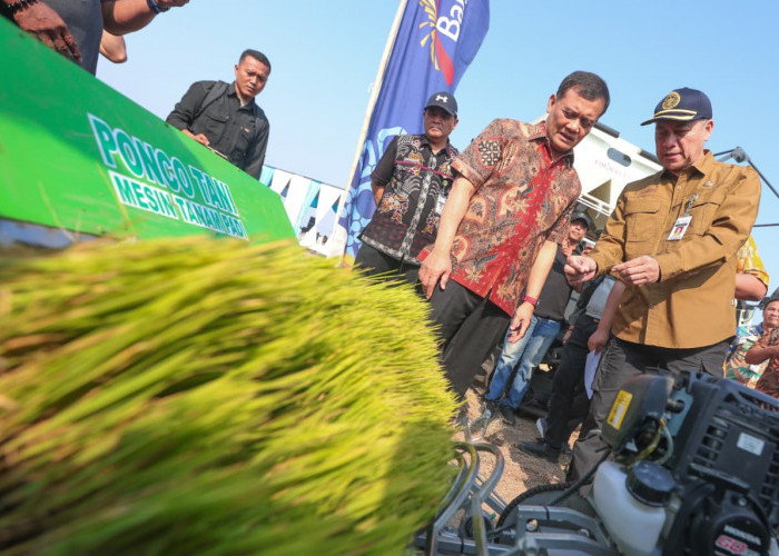 Antisipasi Dampak Puso, Pemprov Jateng Bentengi 10 Ribu Hektar Sawah dengan Asuransi