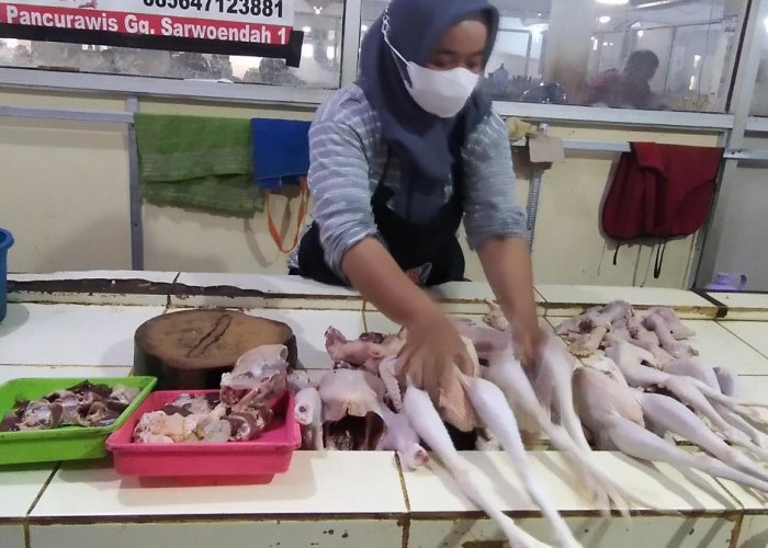 Meski Harga Naik, Pembeli Daging Ayam Tidak Ada Penurunan
