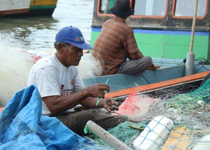 Solusi Modal Usaha untuk Budidaya Perikanan, Nelayan Bisa Ajukan KUR Bank Mandiri dengan Syarat Ini