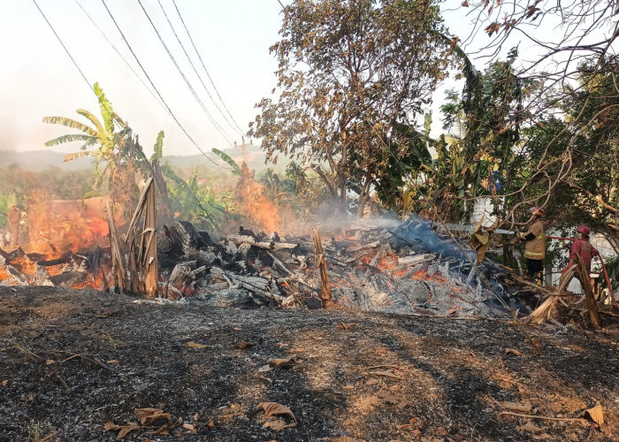 Pangkalan Kayu di Cipari Ci;acap Terbakar, Penyebab Diduga dari Pembakaran Sampah yang Ditinggal 