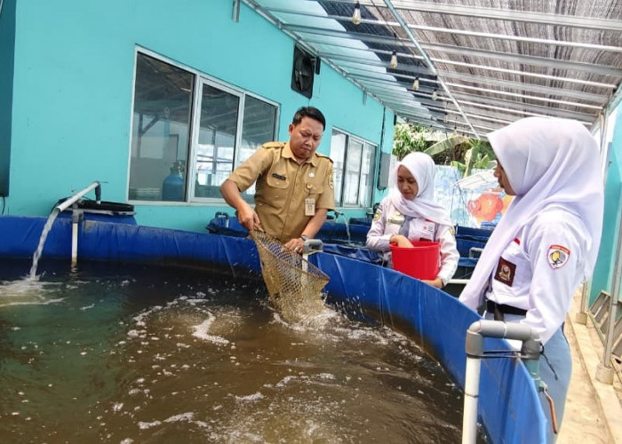 Bioflok Jadi Solusi Budi Daya Ikan di Tengah Musim Kemarau