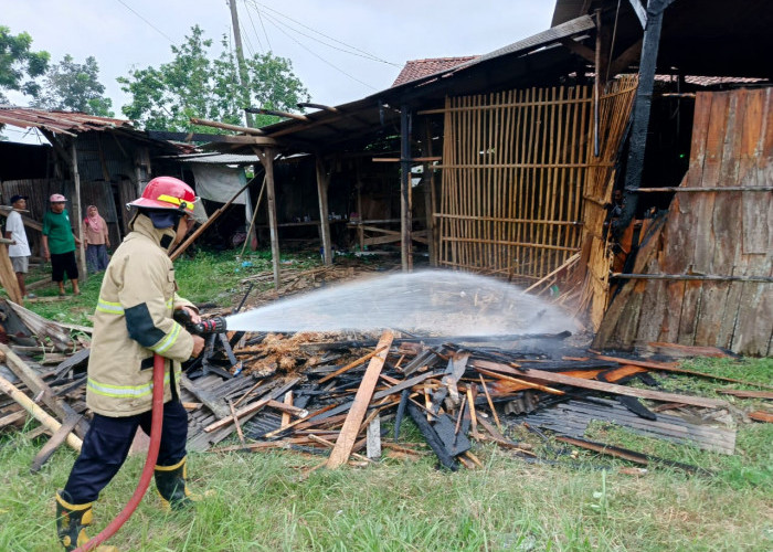 Tempat Pembuatan Kusen Kayu di Jeruklegi Cilacap Terbakar, Penyebab Diduga karena Puntung Rokok