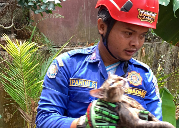 Damkar Kroya Evakuasi Kucing yang Jatuh ke Sumur Sedalam 6 Meter