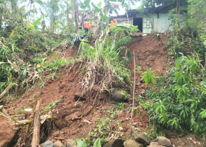 Tebing Setinggi 7 Meter Longsor Ancam Warga Sempor Kebumen