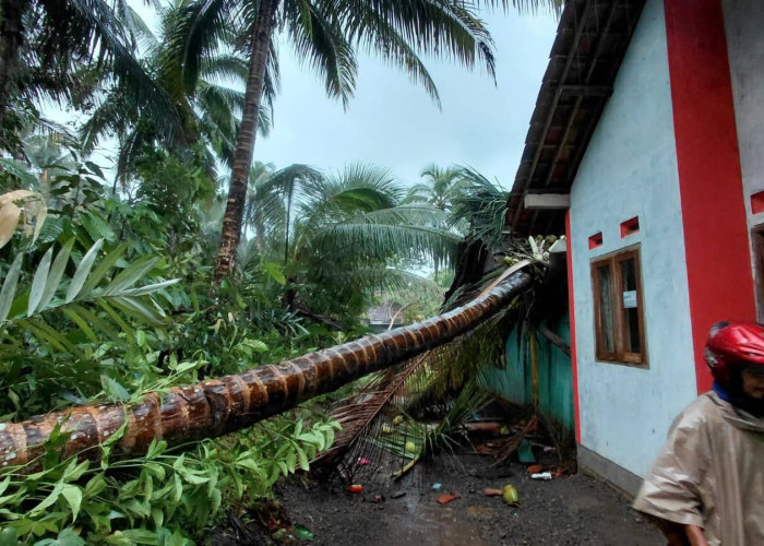 Cuaca Ekstrem Rusak 35 Rumah di Banyumas, Angin Kencang Terjang Empat Kecamatan