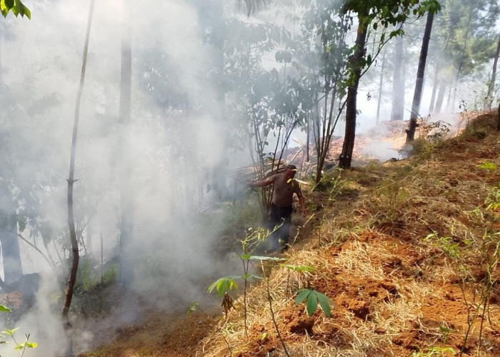 Dua Kebakaran Lahan Terjadi dalam Dua Hari di Kebumen