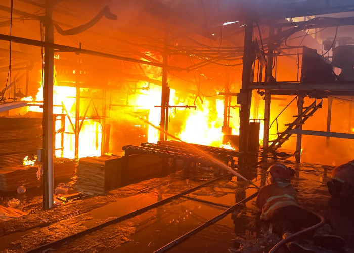Pabrik Kayu di Kalibagor Terbakar, Rugi Rp2,5 Miliar, Api Diduga Berasal dari Mesin Sander 