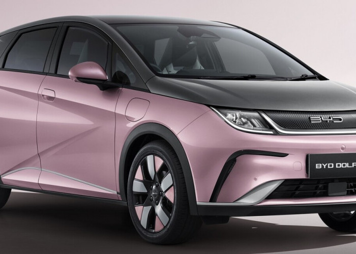 Mau Punya Mobil Listrik Modern dengan Cicilan Mulai Rp7 Jutaan? Cek Simulasi Kredit BYD Dolphin Premium di MUF