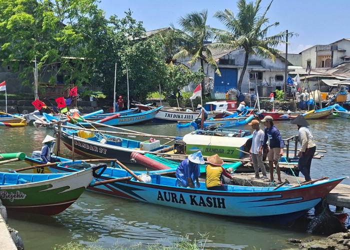 Panen Raya Udang Tiba, Nelayan Cilacap Pesta Tangkapan 30 Kilogram, Harga Jual Menggiurkan