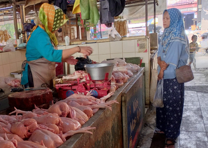 Harga Daging Ayam di Purbalingga Tembus Rp 39.500 Per Kilogram