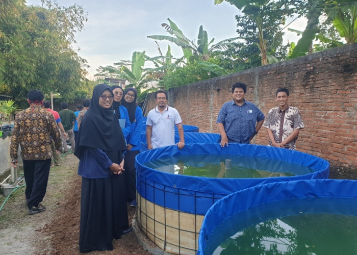 Akuakultur UMP Kembangkan Pembenihan Gurami dengan Teknologi Bioflok 