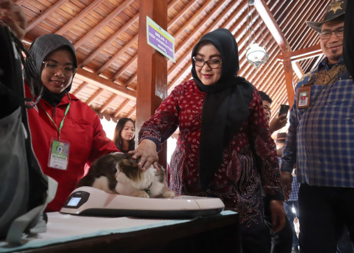 Vaksin Rabies Gratis Diserbu Pemilik Hewan, 300 Dosis Disiapkan Di Pendopo Wakil Bupati Banyumas