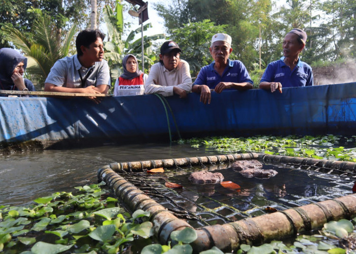 Sidat Jadi Andalan Warga Sidamukti, Dorong Ekonomi Sekaligus Jaga Alam
