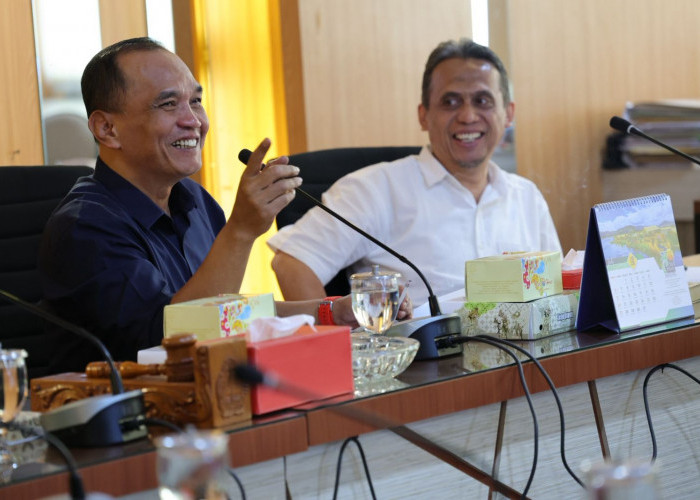 UMKM Perlu Tingkatkan Daya Saing, Produknya Harus Unik