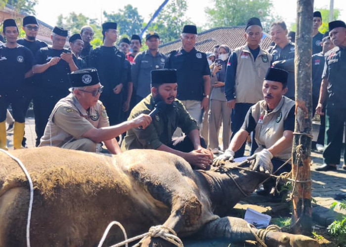 Banjarnegara Perkuat Jaminan Daging Kurban Lewat Apel Akbar Juleha Fest 2026