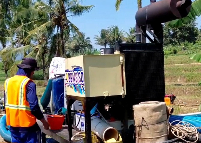 161 Hektar Sawah Terancam Kekeringan Dampak Saluran Irigasi Gemuruh Putus