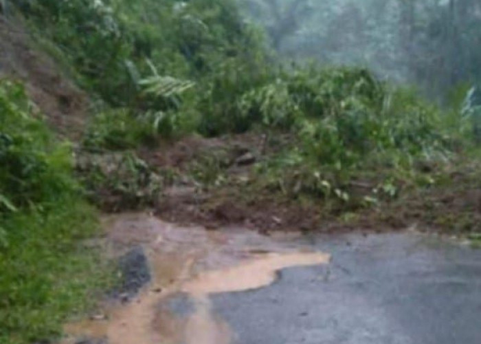 Hujan Lebat, Ruas Jalan Majingklak - Palugon Cilacap Tertutup Tanah Longsor