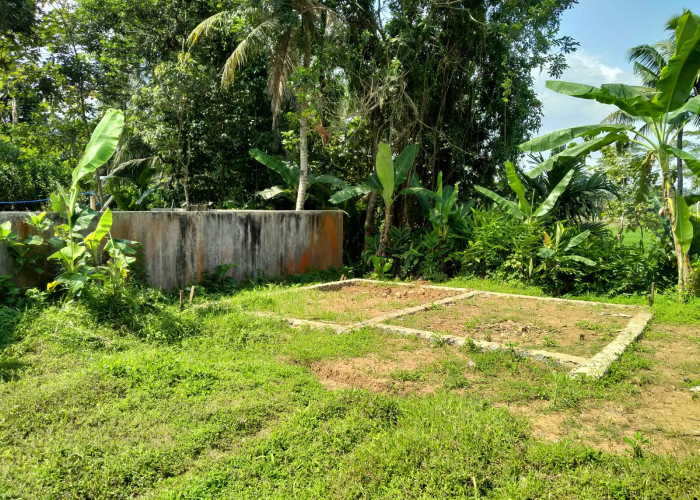 Aduan Pembangunan Permanen di Tanah Kas Desa Banjaranyar, Kecamatan Pekuncen Layangkan Teguran