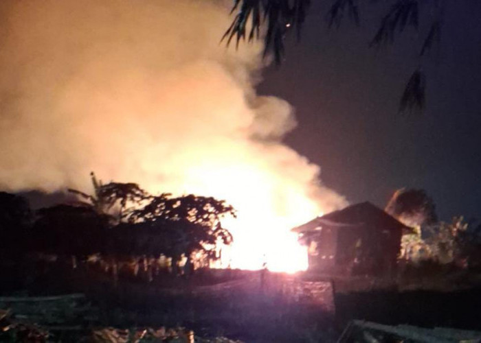 Kandang Ayam di Bukateja Purbalingga Terbakar, 30 Ribu Ekor Ayam Mati dan Kerugian Capai Rp 900 Juta