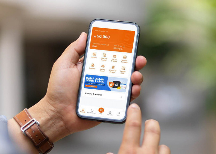 Dompet Digital SeaBank Bayar Instan Shopee Jadi Solusi Belanja Online Tanpa Ribet