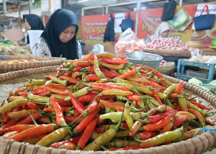 Musim Penghujan Turun, Harga Sayuran di Kebumen Naik 