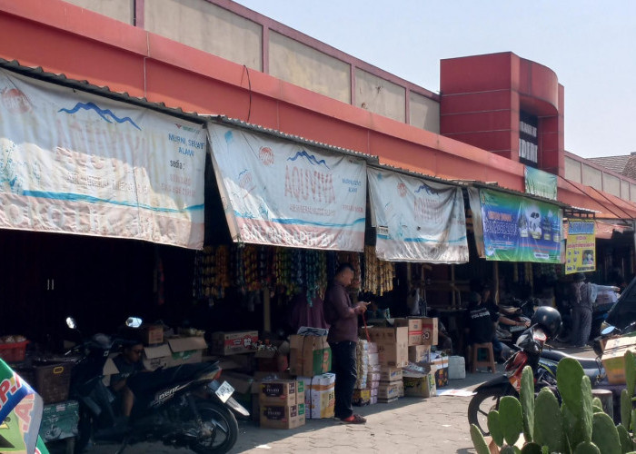 Harga Telur dan Ayam di Purbalingga Naik Saat MBG Kembali Berjalan