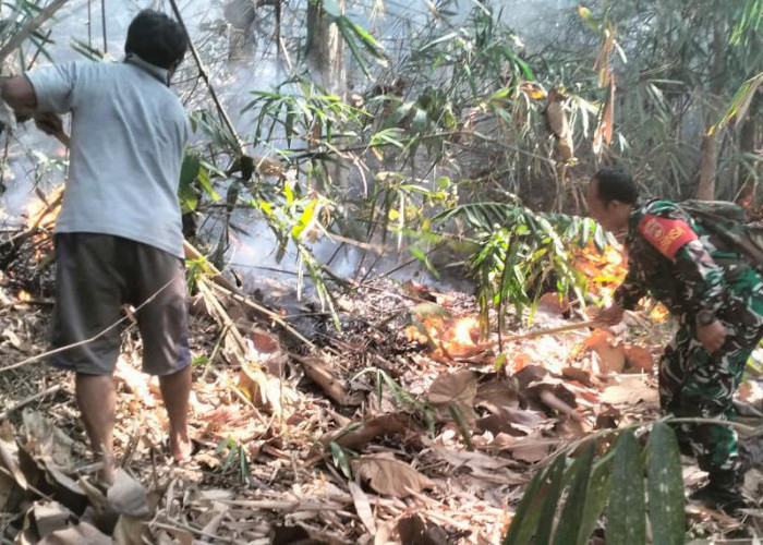 Hutan di Wilayah Desa Panimbang Kecamatan Cimanggu, Cilacap Terbakar, Penyebab Belum Diketahui