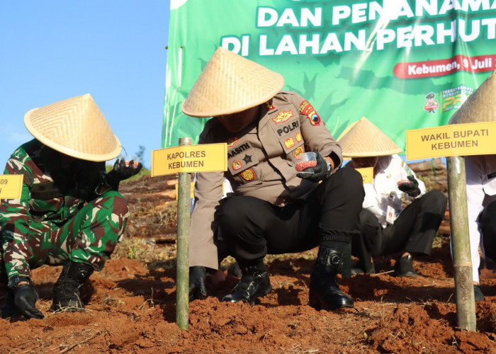 1.5 Hektar Lahan di Kebumen Ditanami Jagung Serentak Kuartal III