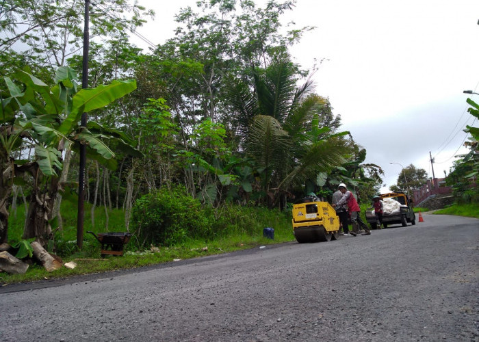 Ruas Jalan Kemranjen-Tanggeran Lebih dari Seratus Lubang